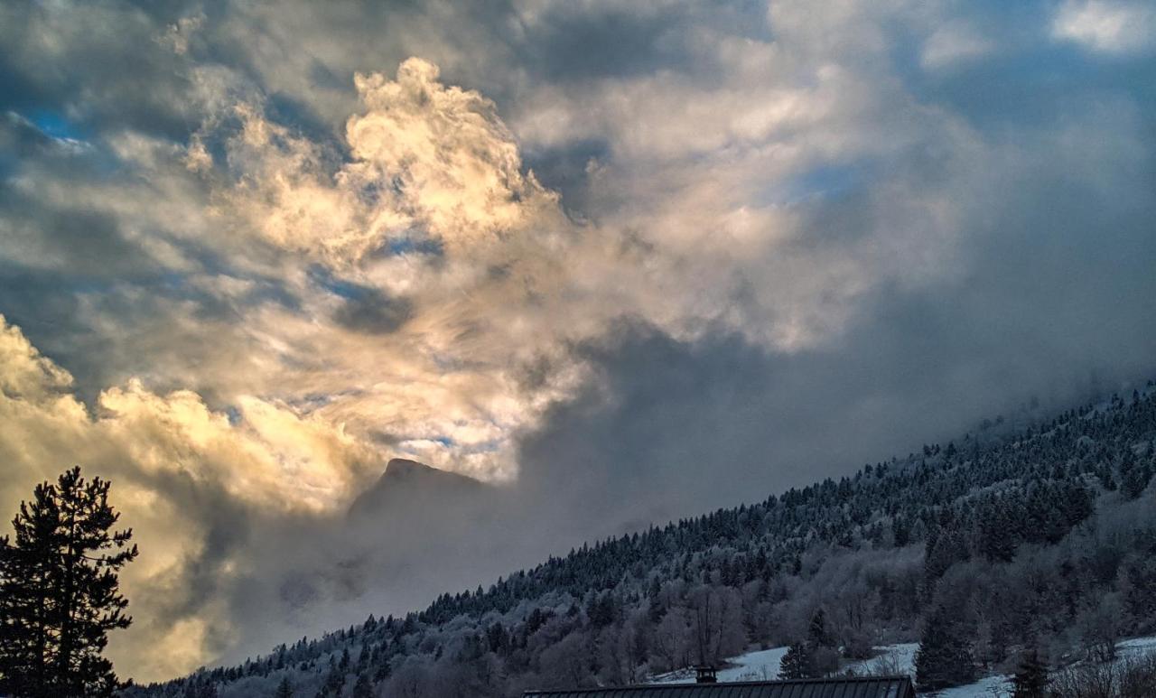 Appartement De Plain-Pied En Montagne Avec Vue Merveilleuse Sur Le Massif De Belledonne Saint Bernard du Touvet Bagian luar foto